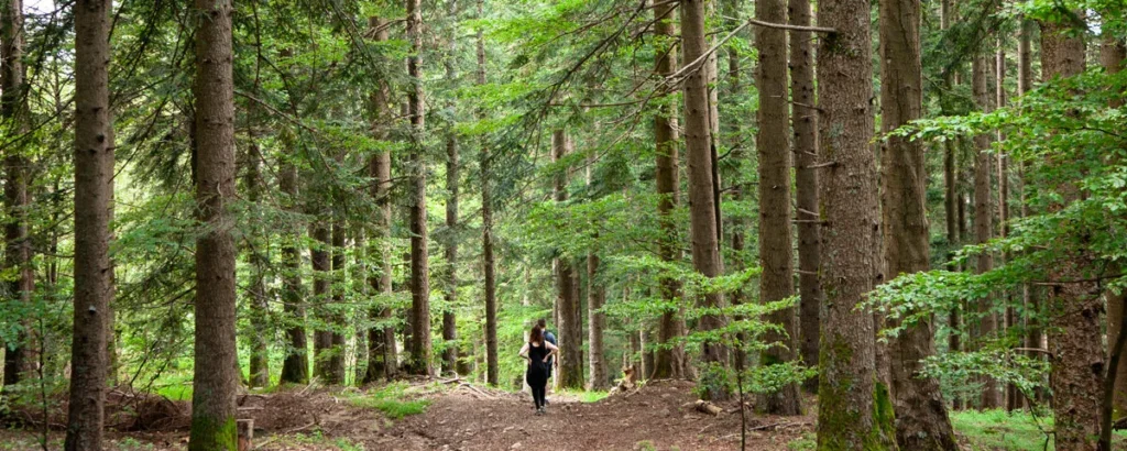 Capo d'Arno e lago degli Idoli 