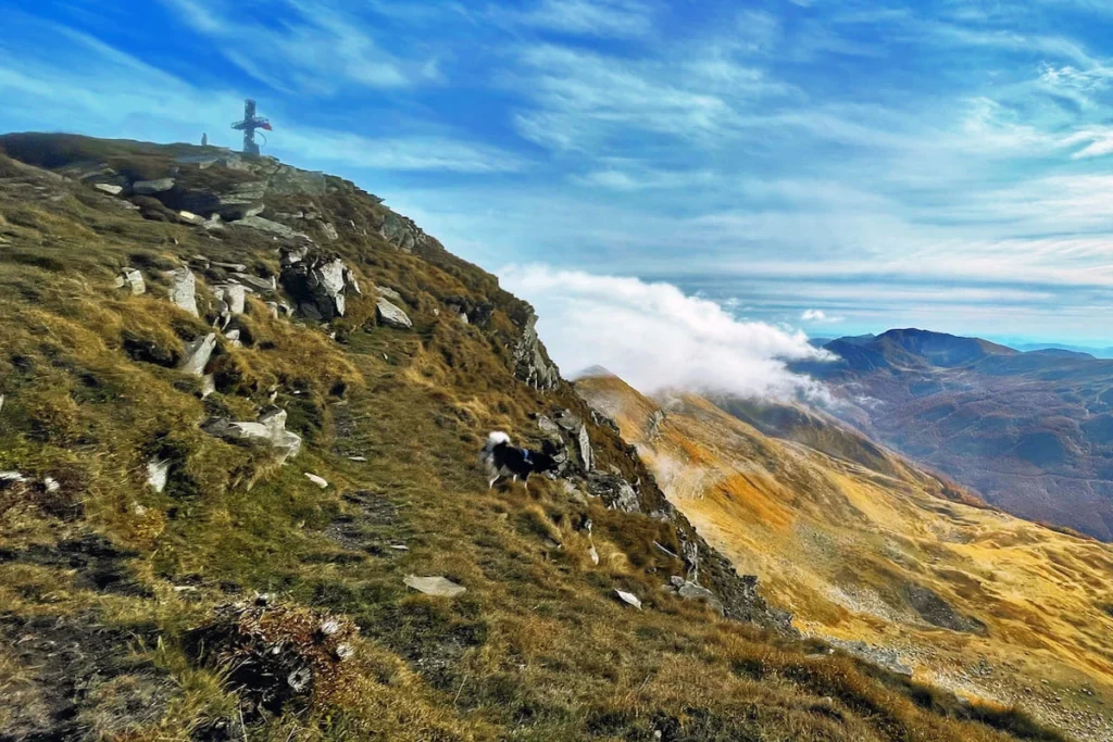 

Club Aquile Rampanti
Cusna
Monte Cusna 2022 (appennino reggiano)

Le Mie Cime
Monte Cusna 2022 (appennino reggiano)
Facciamo un giro in centro?: IL MONTE CUSNA

Facciamo un giro in centro?
Facciamo un giro in centro?: IL MONTE CUSNA
Cusna

Club Aquile Rampanti
Cusna
Facciamo un giro in centro?: IL MONTE CUSNA

Facciamo un giro in centro?
Facciamo un giro in centro?: IL MONTE CUSNA
Terre-Emerse - Sul Cusna da nord ...

Terre-Emerse.it
Terre-Emerse - Sul Cusna da nord ...
Sulla vetta del Monte Cusna, il Gigante ...

Montagna.TV
Sulla vetta del Monte Cusna, il Gigante ...
Cusna

Club Aquile Rampanti
Cusna
Monte Cusna - Wikipedia

Wikipedia
Monte Cusna - Wikipedia
Cusna

Club Aquile Rampanti
Cusna
Facciamo un giro in centro?: IL MONTE CUSNA

Facciamo un giro in centro?
Facciamo un giro in centro?: IL MONTE CUSNA
Monte Cusna (da Pian Vallese ...

ursea, tuscany, italy
Monte Cusna (da Pian Vallese ...
Monte Orsaro alla vetta del Monte Cusna ...

Roberto Carnevali
Monte Orsaro alla vetta del Monte Cusna ...
Sulla vetta del Monte Cusna, il Gigante ...

Montagna.TV
Sulla vetta del Monte Cusna, il Gigante ...
Monte Cusna 2 agosto 2011

lemiegite
Monte Cusna 2 agosto 2011
Rediscover - Il Monte Cusna, con i suoi ...

Facebook
Rediscover - Il Monte Cusna, con i suoi ...
Monte Cusna

Le Mie Cime
Monte Cusna
Esplorando il Monte Cusna, la seconda ...

YouTube
Esplorando il Monte Cusna, la seconda ...
Monte Cusna 2 agosto 2011

lemiegite
Monte Cusna 2 agosto 2011
Il Monte Cusna con i suoi 2120 metri è ...

Alamy
Il Monte Cusna con i suoi 2120 metri è ...
Monte Cusna da Rescadore per il Passone ...

Sentieri in Cammino
Monte Cusna da Rescadore per il Passone ...
Monte Cusna, la seconda vetta più ...

Facebook
Monte Cusna, la seconda vetta più ...
Monte Cusna per il Prassordo: discesa ...

REDclimber
Monte Cusna per il Prassordo: discesa ...
Monte Cusna, il trekking nel Parco del ...

IntraMundi
Monte Cusna, il trekking nel Parco del ...
Monte Cusna da Monteorsaro - Sentieri ...

Sentieri in Cammino
Monte Cusna da Monteorsaro - Sentieri ...
Monte Cusna (2120 m) | Emilia Romagna a ...

Iter Edizioni
Monte Cusna (2120 m) | Emilia Romagna a ...
Monte Cusna da Rescadore per il Passone ...

Sentieri in Cammino
Monte Cusna da Rescadore per il Passone ...
Monte Cusna 2 agosto 2011

lemiegite
Monte Cusna 2 agosto 2011
Monte Cusna per il Prassordo: discesa ...

REDclimber
Monte Cusna per il Prassordo: discesa ...
Sulla vetta del Monte Cusna, il Gigante ...

Montagna.TV
Sulla vetta del Monte Cusna, il Gigante ...
Salire sul Cusna: grande bellezza dell ...

camminatori anonimi
Salire sul Cusna: grande bellezza dell ...
Facciamo un giro in centro?: IL MONTE CUSNA

Facciamo un giro in centro?
Facciamo un giro in centro?: IL MONTE CUSNA
Monte Cusna per il Prassordo: discesa ...

REDclimber
Monte Cusna per il Prassordo: discesa ...
APPENNINO REGGIANO] Monte Cusna (2121m ...

Girovagando in Montagna in Trentino
APPENNINO REGGIANO] Monte Cusna (2121m ...
Cusna Cisa e Prampa

Le Mie Cime
Cusna Cisa e Prampa
Il Monte Cusna – Val d'Asta – Appennino ...

Val d'Asta - Appennino Reggiano
Il Monte Cusna – Val d'Asta – Appennino ...
Monte Cusna (dal Passo Cisa) – ursea ...

ursea, tuscany, italy
Monte Cusna (dal Passo Cisa) – ursea ...
I 2.000 dell'Appennino - CAMMINATORI ...

camminatori anonimi
I 2.000 dell'Appennino - CAMMINATORI ...
Cusna (Monte) da Case di Civago per il ...

Gulliver
Cusna (Monte) da Case di Civago per il ...
Monte Cusna 2 agosto 2011

lemiegite
Monte Cusna 2 agosto 2011
La croce del Monte Cusna (2121 m ...

Parco Nazionale dell'Appennino Tosco-Emiliano
La croce del Monte Cusna (2121 m ...
Cusna (Monte) da Case di Civago per il ...

Gulliver
Cusna (Monte) da Case di Civago per il ...
I 2.000 dell'Appennino - CAMMINATORI ...

camminatori anonimi
I 2.000 dell'Appennino - CAMMINATORI ...
Monte Cusna dal Passone | Omino di pietra

Omino di pietra - WordPress.com
Monte Cusna dal Passone | Omino di pietra
Monte Cusna (2120 m) da Monteorsaro per ...

REDclimber
Monte Cusna (2120 m) da Monteorsaro per ...
Il Monte Cusna – Val d'Asta – Appennino ...

Val d'Asta - Appennino Reggiano
Il Monte Cusna – Val d'Asta – Appennino ...
Facciamo un giro in centro?: IL MONTE CUSNA

Facciamo un giro in centro?
Facciamo un giro in centro?: IL MONTE CUSNA
Monte Cusna - YouTube

YouTube
Monte Cusna - YouTube
cusna

Scialpinismo
cusna
Monte Cusna via normale su VieNormali ...

VieNormali.it
Monte Cusna via normale su VieNormali ...
Monte Cusna | Parco Nazionale dell ...

Parco Nazionale dell'Appennino Tosco-Emiliano
Monte Cusna | Parco Nazionale dell ...
cusna

Scialpinismo
cusna
Salire sul Cusna: grande bellezza dell ...

camminatori anonimi
Salire sul Cusna: grande bellezza dell ...
Il monte Cusna 2.121 m. è la maggiore ...

Facebook
Il monte Cusna 2.121 m. è la maggiore ...
Escursione n. 5: Monte Cusna - CAI Prato

CAI Prato
Escursione n. 5: Monte Cusna - CAI Prato
Monte Cusna, il trekking nel Parco del ...

IntraMundi
Monte Cusna, il trekking nel Parco del ...
Monte Cusna (da Case Cattalini)

www.svizzy.altervista.org
Monte Cusna (da Case Cattalini)
Monte Cusna 2022 (appennino reggiano)

Le Mie Cime
Monte Cusna 2022 (appennino reggiano)
IT4030004 Val d'Ozola, Monte Cusna ...

Parco Nazionale dell'Appennino Tosco-Emiliano
IT4030004 Val d'Ozola, Monte Cusna ...
Monte Cusna: anello da Casalino ...

appenninismo - WordPress.com
Monte Cusna: anello da Casalino ...
Salire sul Cusna: grande bellezza dell ...

camminatori anonimi
Salire sul Cusna: grande bellezza dell ...
la spettacolare salita sul Monte Cusna

Trekking.it
la spettacolare salita sul Monte Cusna
migliori sentieri vicino a Monte Cusna ...

AllTrails
migliori sentieri vicino a Monte Cusna ...
Quel gran parlare della Madonnina rossa ...

GognaBlog
Quel gran parlare della Madonnina rossa ...
Sulla vetta del Monte Cusna, il Gigante ...

Montagna.TV
Sulla vetta del Monte Cusna, il Gigante ...
Monte Cusna (da Pian Vallese ...

ursea, tuscany, italy
Monte Cusna (da Pian Vallese ...
Monte Cusna - Meteo Webcam

Meteo Webcam
Monte Cusna - Meteo Webcam
Monte Cusna via Roncopianigi: 38 foto ...

AllTrails
Monte Cusna via Roncopianigi: 38 foto ...
APPENNINO REGGIANO] Monte Cusna (2121m ...

Girovagando in Montagna in Trentino
APPENNINO REGGIANO] Monte Cusna (2121m ...
Escursione al monte Cusna | Libero ...

Libero Viandante - Altervista
Escursione al monte Cusna | Libero ...
Monte Cusna 2022 (appennino reggiano)

Le Mie Cime
Monte Cusna 2022 (appennino reggiano)
2 Giorni al Rifugio Battisti ...

CAI Prato
2 Giorni al Rifugio Battisti ...
Salire sul Cusna: grande bellezza dell ...

camminatori anonimi
Salire sul Cusna: grande bellezza dell ...
Ciaspolata notturna al cospetto del ...

Passi da Gigante
Ciaspolata notturna al cospetto del ...
Cusna

Club Aquile Rampanti
Cusna
Monte Orsaro alla vetta del Monte Cusna ...

Roberto Carnevali
Monte Orsaro alla vetta del Monte Cusna ...
Monte Cusna (2120mslm) – Trekking in ...

Fabio Sandrini
Monte Cusna (2120mslm) – Trekking in ...
MONTE CUSNA EAI-D – Sezione.CAI.Pavullo ...

CAI.Pavullo
MONTE CUSNA EAI-D – Sezione.CAI.Pavullo ...
Il Monte Cusna – Val d'Asta – Appennino ...

Val d'Asta - Appennino Reggiano
Il Monte Cusna – Val d'Asta – Appennino ...
Monte Cusna 2022 (appennino reggiano)

Le Mie Cime
Monte Cusna 2022 (appennino reggiano)
cusna

Scialpinismo
cusna
Appennino Tosco-Emiliano: Monte CUSNA ...

YouTube
Appennino Tosco-Emiliano: Monte CUSNA ...
Monte Cusna (da Pian Vallese ...

ursea, tuscany, italy
Monte Cusna (da Pian Vallese ...
Cusna (Monte) da Case di Civago per il ...

Gulliver
Cusna (Monte) da Case di Civago per il ...
Salire sul Cusna: grande bellezza dell ...

camminatori anonimi
Salire sul Cusna: grande bellezza dell ...
monte Cusna,Bagioletto ...

Max Dimensione Montagna
monte Cusna,Bagioletto ...
Monte Cusna - Wikipedia

Wikipedia
Monte Cusna - Wikipedia
Madonnina in vetta al Monte Cusna ...

Mauro Pancaldi
Madonnina in vetta al Monte Cusna ...
Alba in vetta al Monte Cusna. Foto ...

Redacon
Alba in vetta al Monte Cusna. Foto ...
Monte Cusna da Rescadore per il Passone ...

Sentieri in Cammino
Monte Cusna da Rescadore per il Passone ...
Monte Cusna (2120 m) | Emilia Romagna a ...

Iter Edizioni
Monte Cusna (2120 m) | Emilia Romagna a ...
APPENNINO REGGIANO] Monte Cusna (2121m ...

Girovagando in Montagna in Trentino
APPENNINO REGGIANO] Monte Cusna (2121m ...
Cusna (Monte) da Case di Civago per il ...

Gulliver
Cusna (Monte) da Case di Civago per il ...
Monte Cusna 2 agosto 2011

lemiegite
Monte Cusna 2 agosto 2011
More results

Good Trekking




Incastonata tra le vette dell'Appennino Reggiano, questa montagna con i  suoi panorami non lascia spazio all'immaginazione | GoodTrekking

Incastonata tra le vette dell'Appennino Reggiano